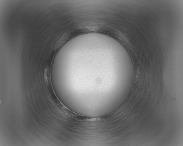 X0000055970122200508190713