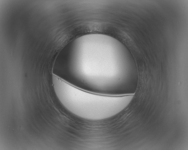 X0000055970123200508190713