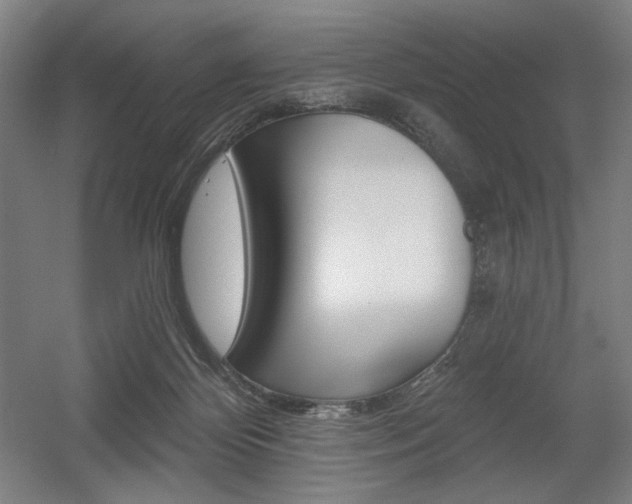 X0000055970124200508190713