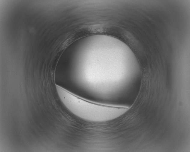 X0000055970125200508190713