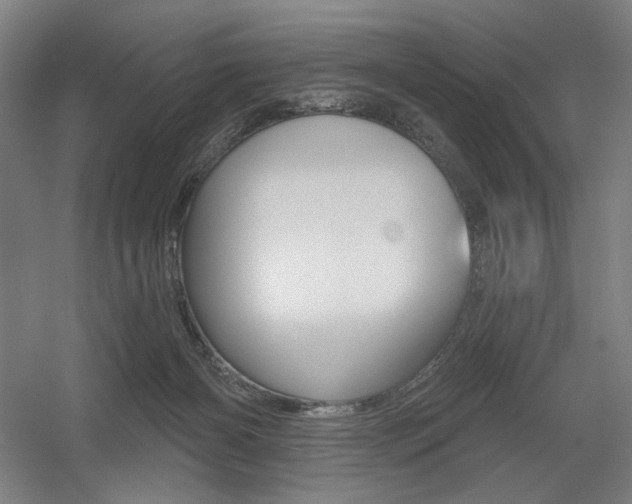 X0000055970126200508190713