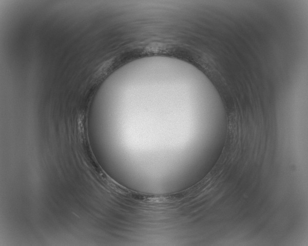 X0000055970127200508190713