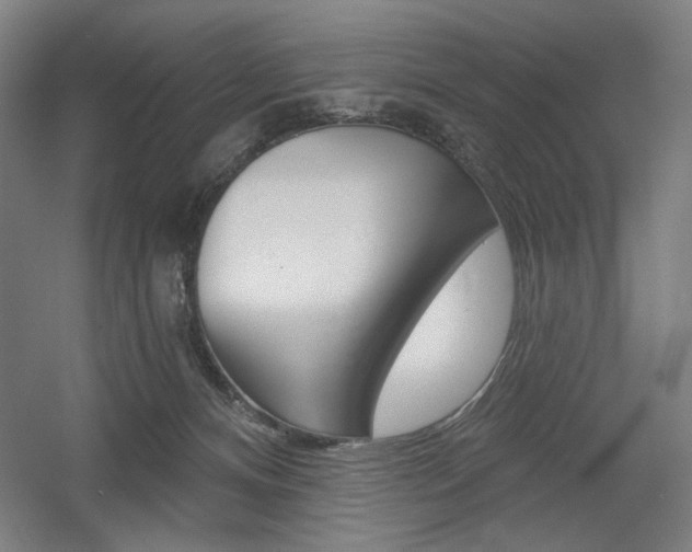 X0000055970128200508190713
