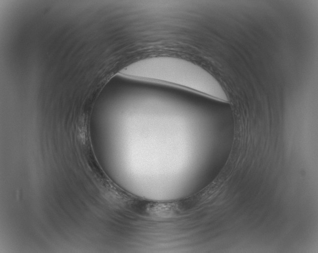 X0000055970129200508190713