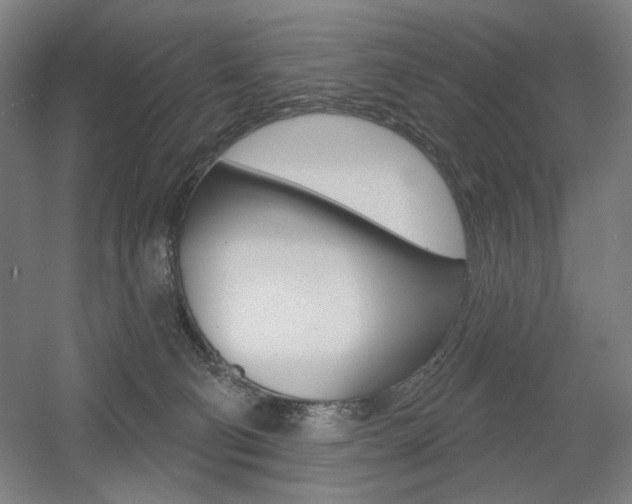 X0000055970130200508190713