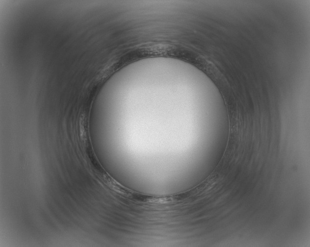 X0000055970131200508190713