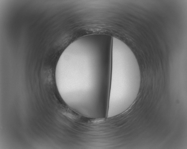 X0000055970132200508190713