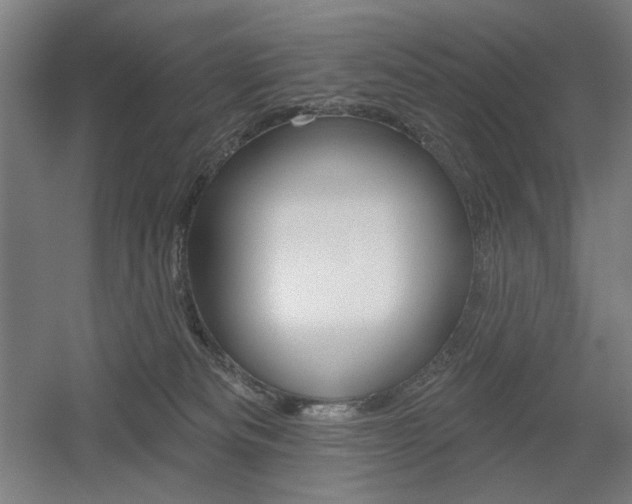 X0000055970133200508190713