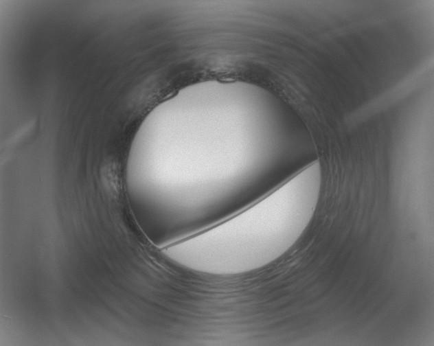 X0000055970135200508190713