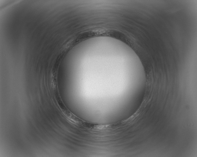 X0000055970136200508190713
