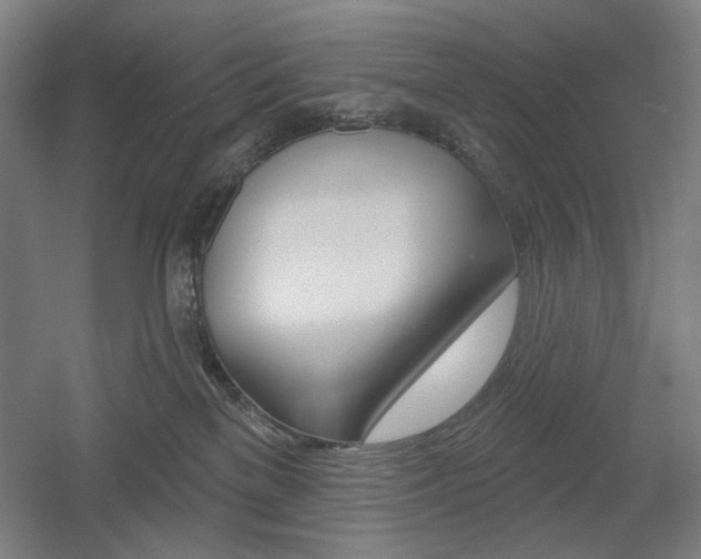 X0000055970137200508190713