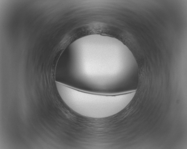 X0000055970139200508190713
