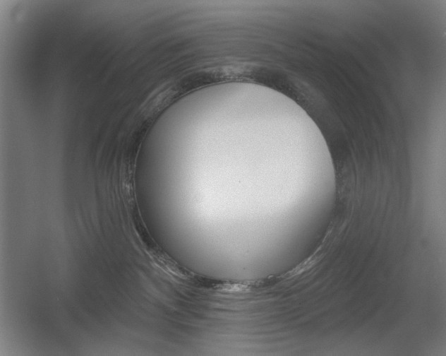 X0000055970140200508190713