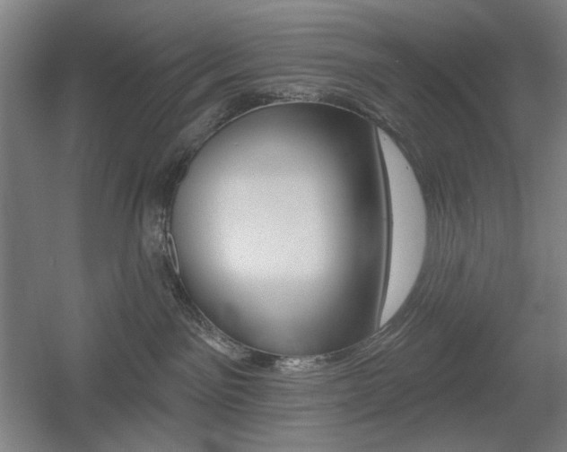 X0000055970141200508190713