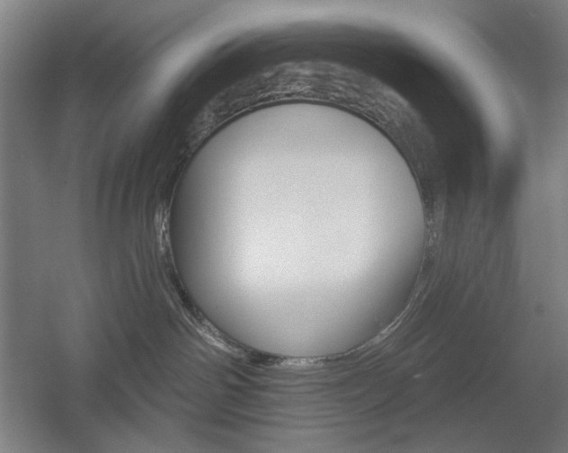 X0000055970142200508190713