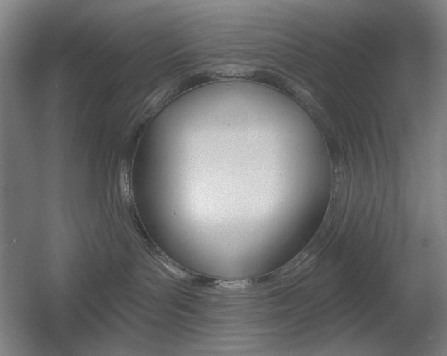 X0000055970143200508190713