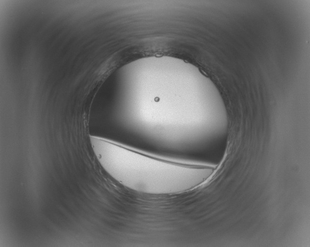 X0000055970144200508190713