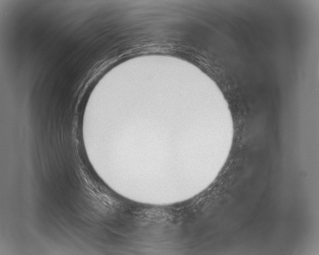 X0000055970146200508190712