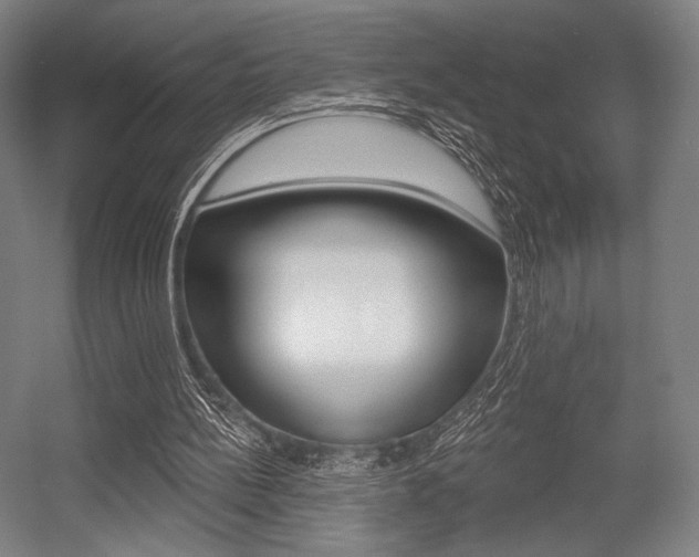 X0000055970148200508190712