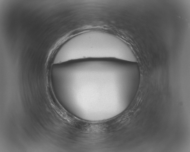 X0000055970149200508190712