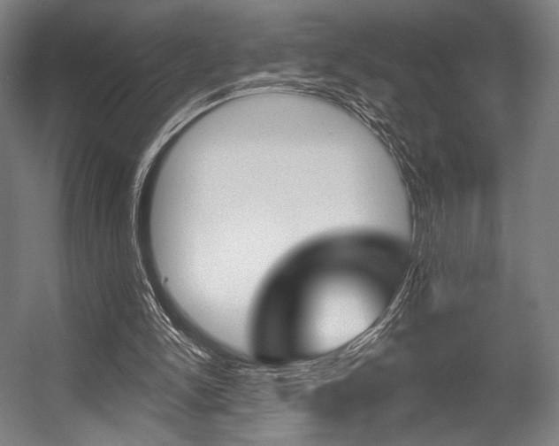 X0000055970150200508190712