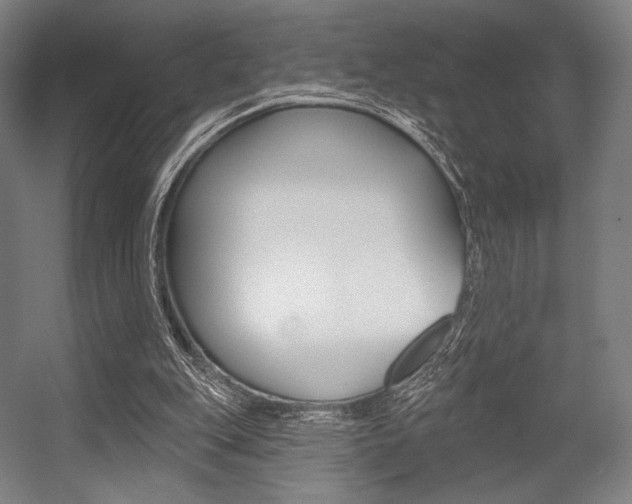 X0000055970151200508190712