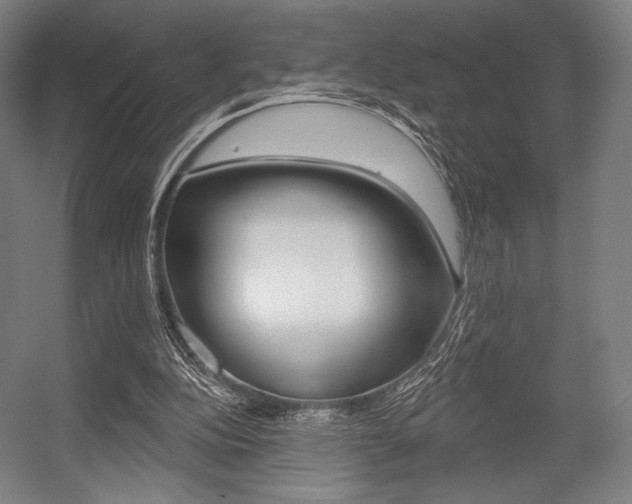 X0000055970152200508190712