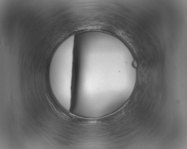 X0000055970153200508190712