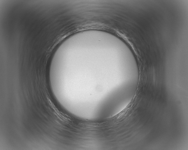 X0000055970154200508190712