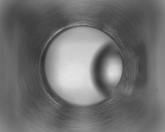 X0000055970156200508190712