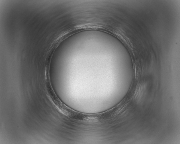 X0000055970157200508190712