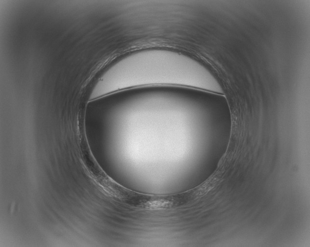 X0000055970158200508190712