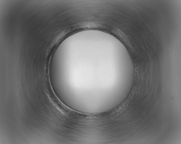 X0000055970159200508190712