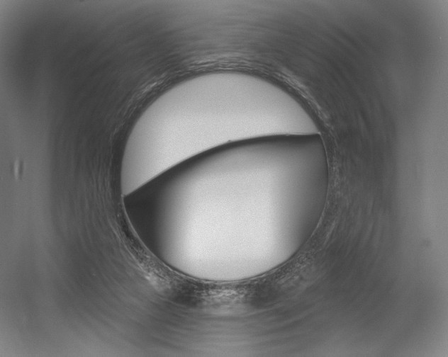 X0000055970161200508190712