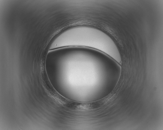 X0000055970164200508190712