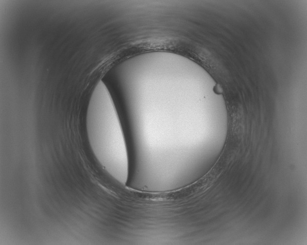 X0000055970165200508190712