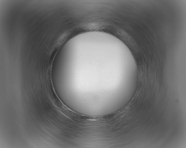 X0000055970167200508190712
