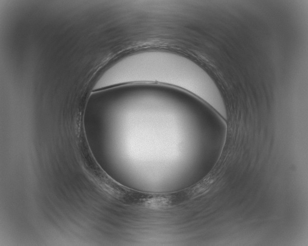 X0000055970168200508190712