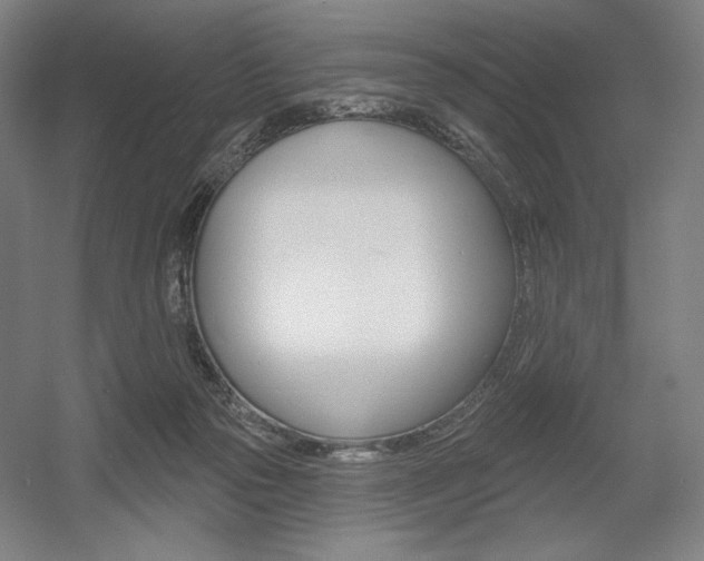 X0000055970169200508190712