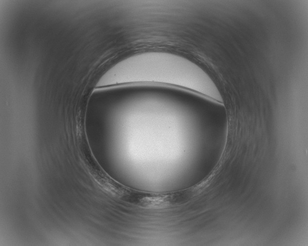 X0000055970170200508190712