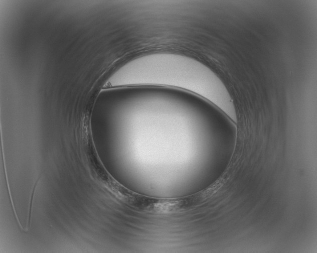 X0000055970172200508190712