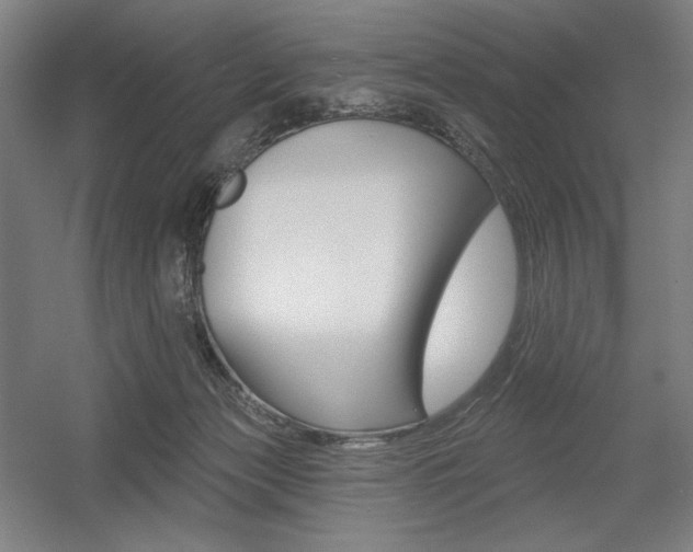 X0000055970173200508190712
