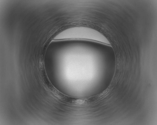 X0000055970176200508190713