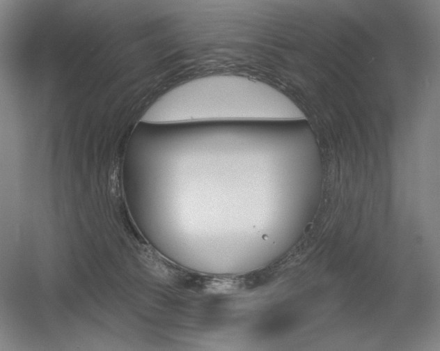 X0000055970177200508190713