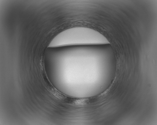 X0000055970178200508190713