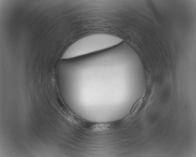 X0000055970179200508190713