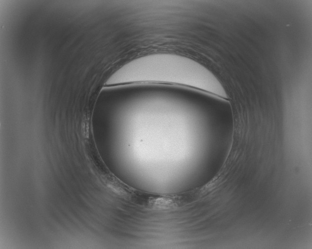 X0000055970180200508190713