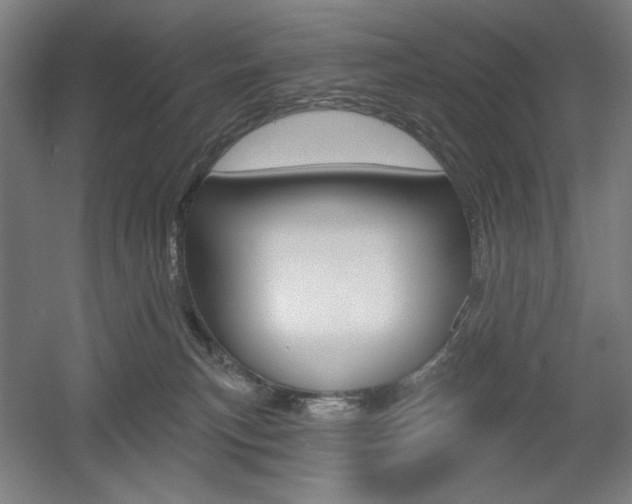 X0000055970183200508190713
