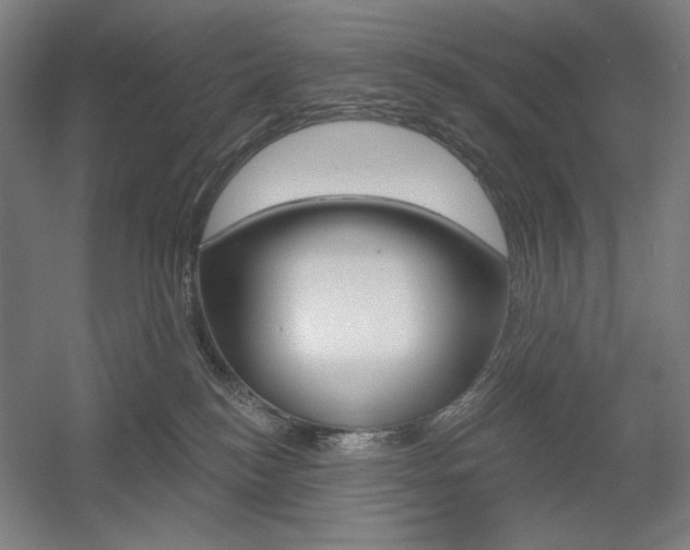 X0000055970184200508190713