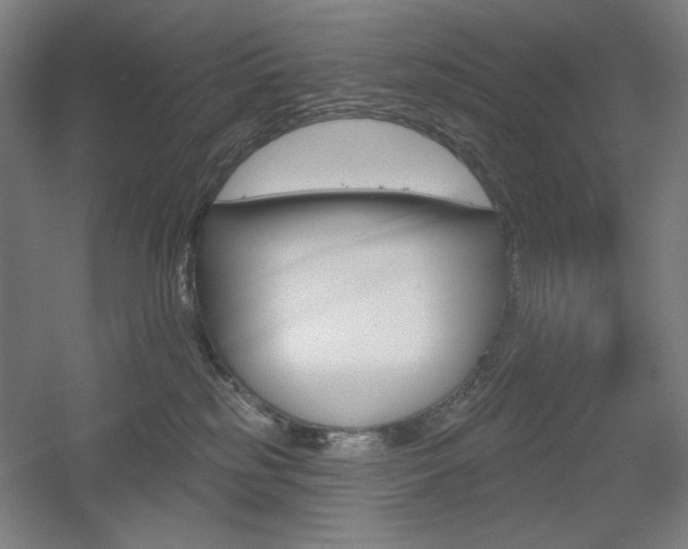 X0000055970185200508190713
